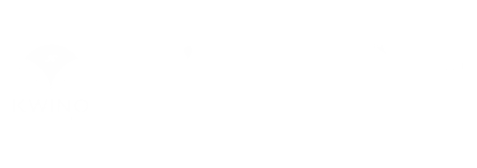 PIDDEL-Reverse-White-Transparent-700DPI